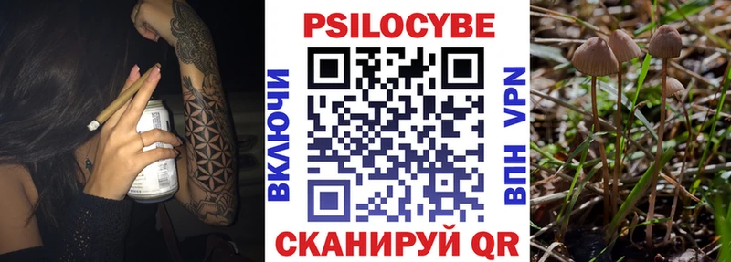 Псилоцибиновые грибы Psilocybine cubensis  Королёв 